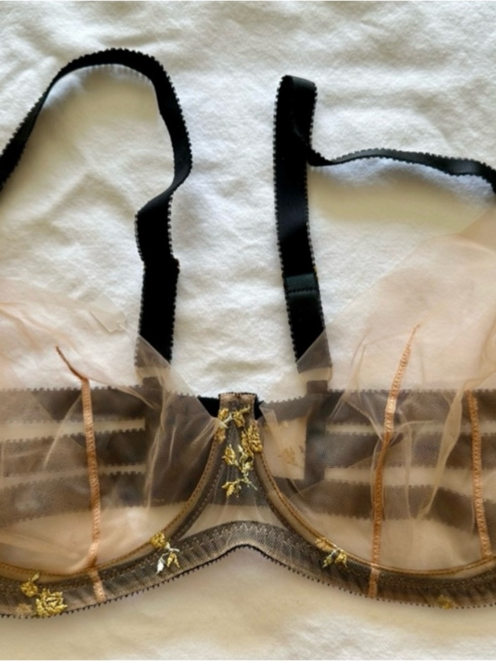 Edge O’ Beyond Charlotte Illusion Black Gold Sheer Bra with Pasties 36G
